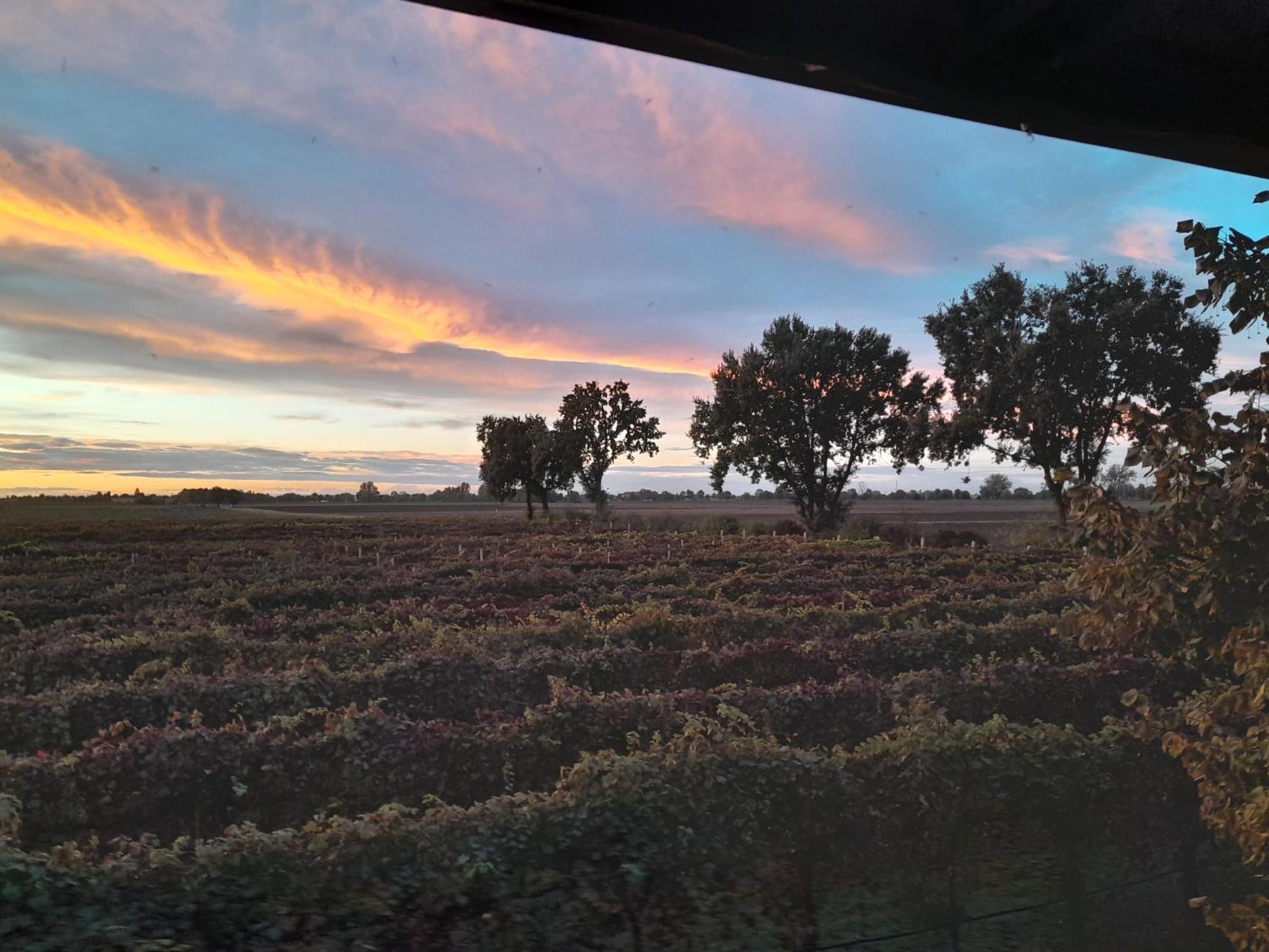 Agriturismo Casa Carpanelli Nonantola Dış mekan fotoğraf