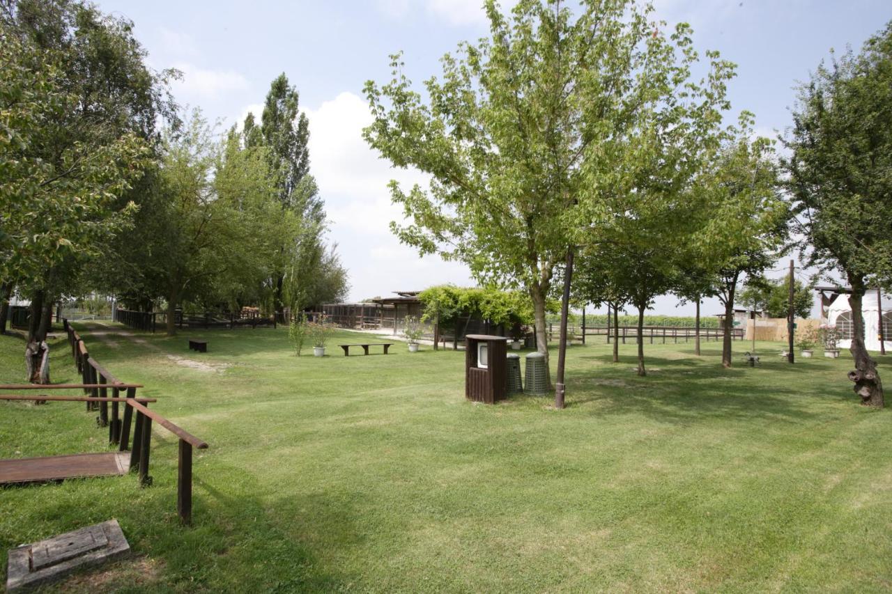 Agriturismo Casa Carpanelli Nonantola Dış mekan fotoğraf