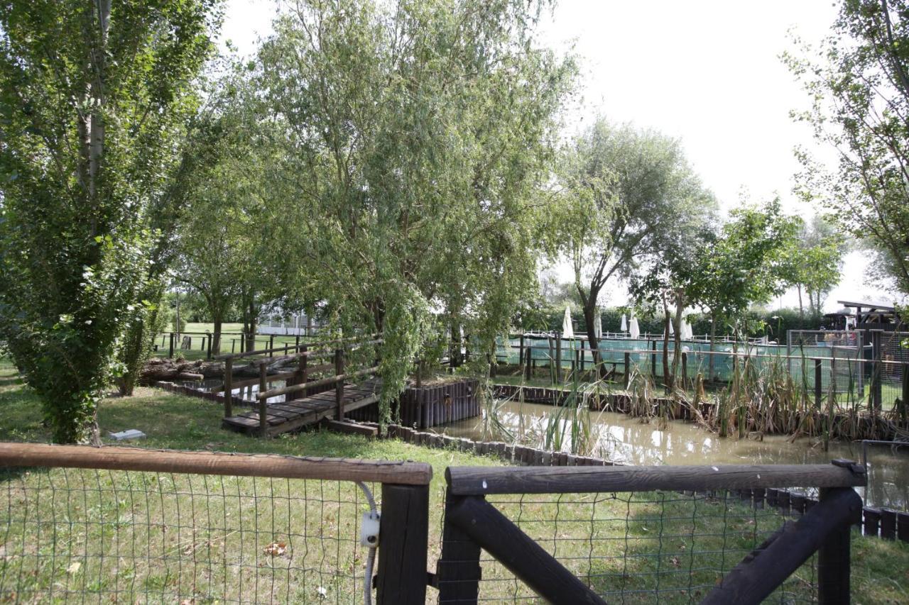 Agriturismo Casa Carpanelli Nonantola Dış mekan fotoğraf